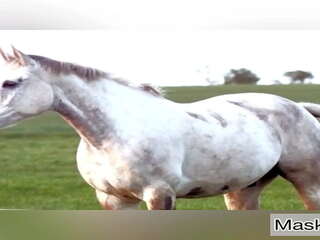 Suguliselt äratanud milf võtab hiiglane hobune fallos dildo kogumik &vert; maskeeritud milf